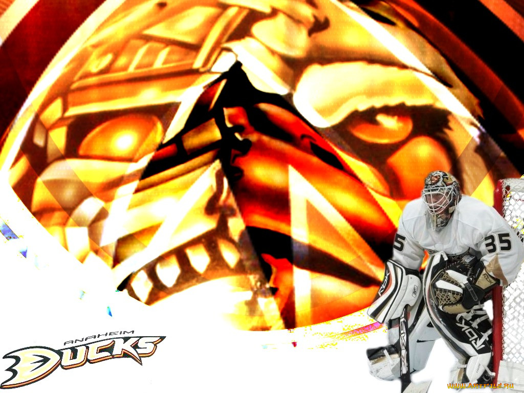 duck, , nhl